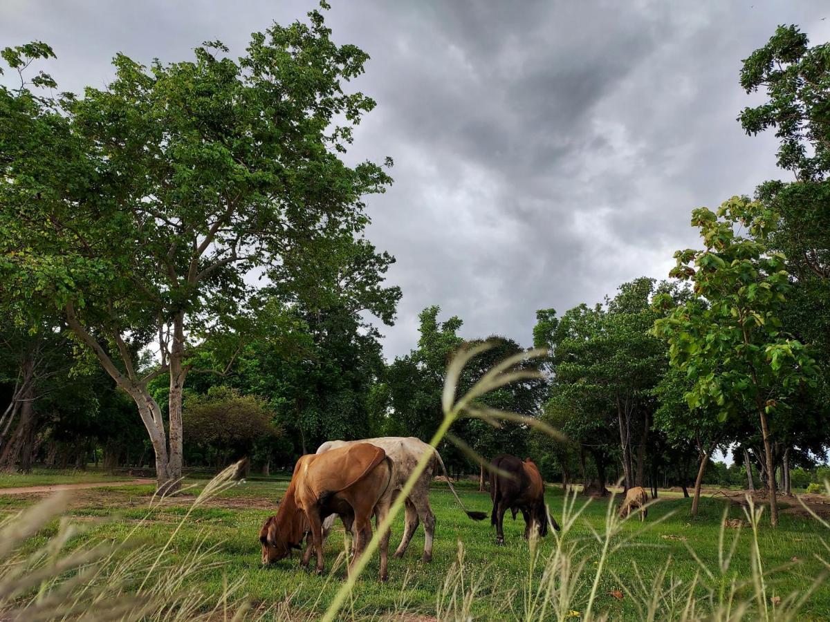 Naracha Resort Mueang Kao Esterno foto