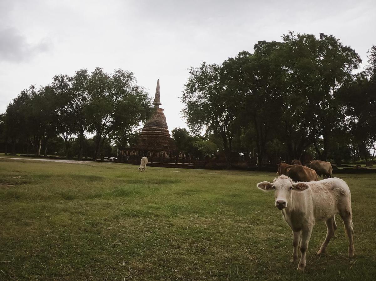 Naracha Resort Mueang Kao Esterno foto